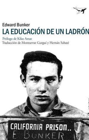 LA EDUCACIÓN DE UN LADRÓN