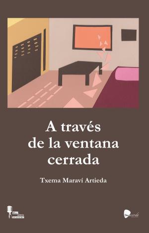 A TRAVES DE LA VENTANA CERRADA