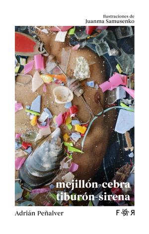 MEJILLÓN-CEBRA TIBURÓN-SIRENA