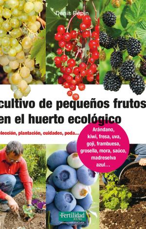 CULTIVO DE PEQUEÑOS FRUTOS EN EL HUERTO ECOLÓGICO