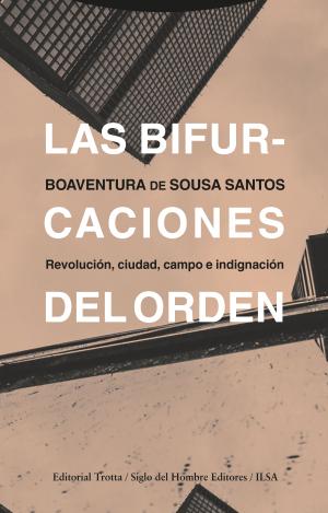 LAS BIFURCACIONES DEL ORDEN