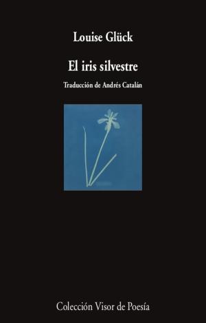 EL IRIS SILVESTRE