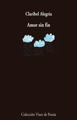 AMOR SIN FIN